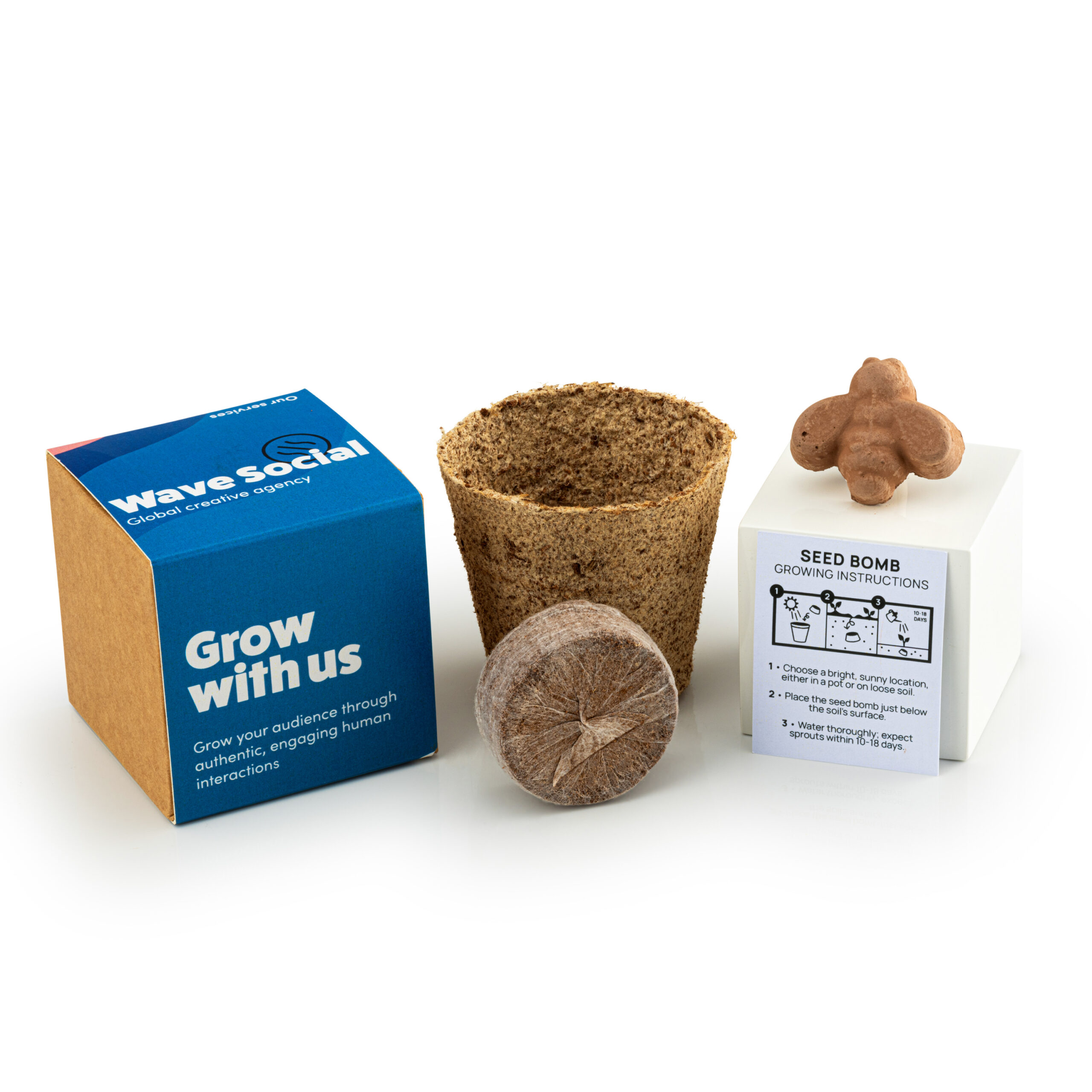 Wildflower Seed Bomb Kit