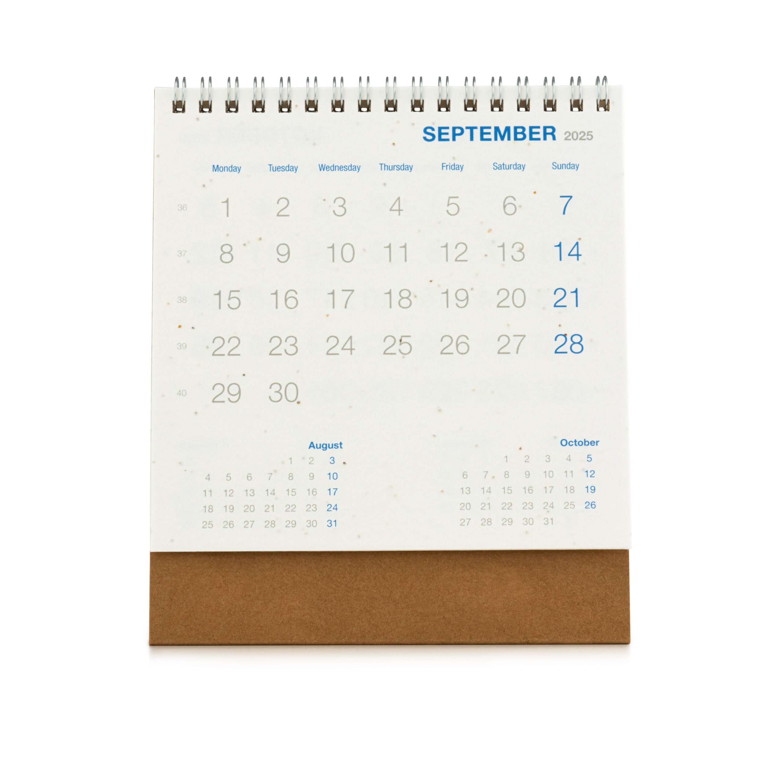 Seed Paper Calendar